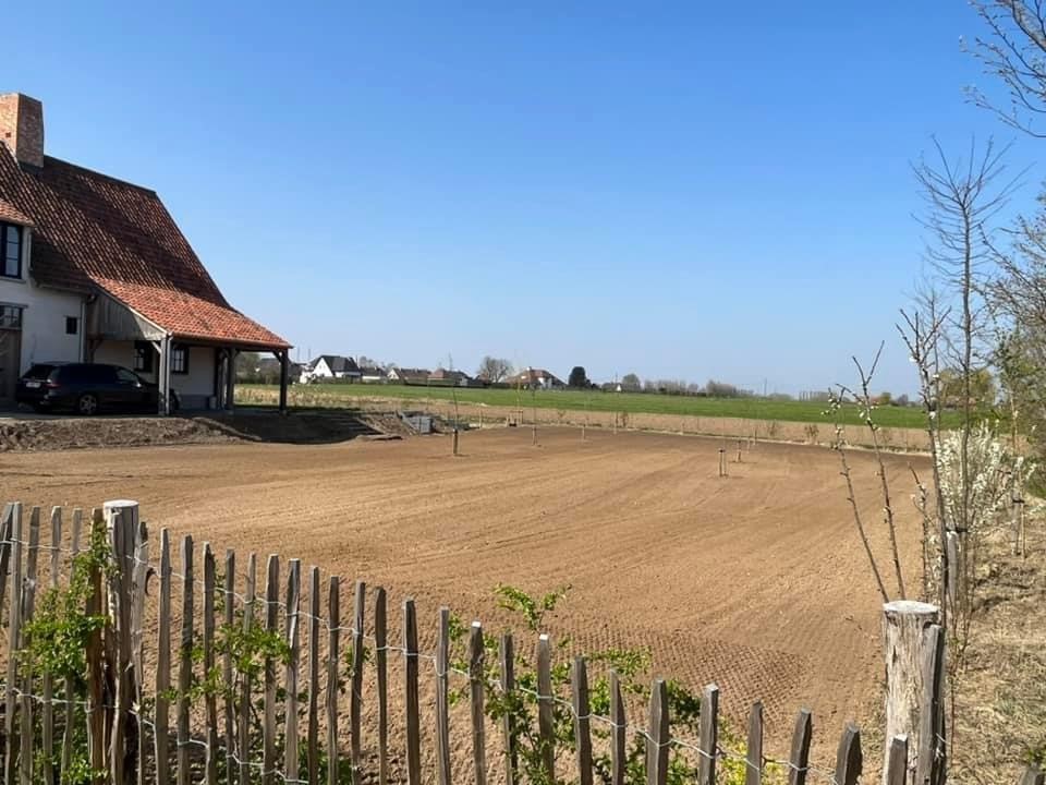 Zaaien van gras